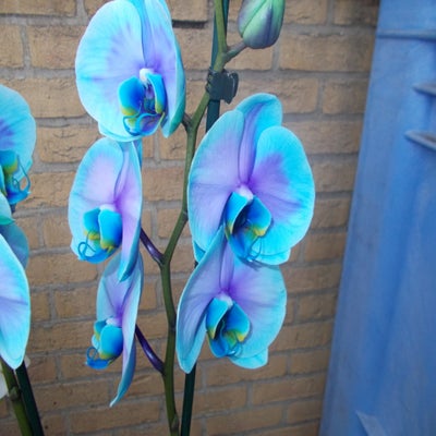 DSCN3080.jpg