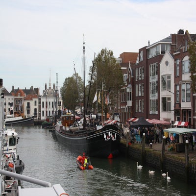 IMG_7145.jpg