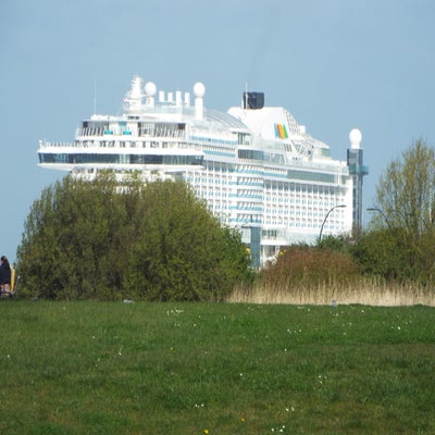 DSCF1008.jpg