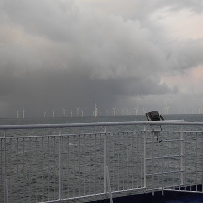 DSCN9667.jpg