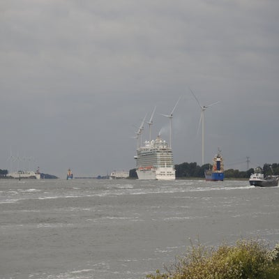 DSCN0116.jpg