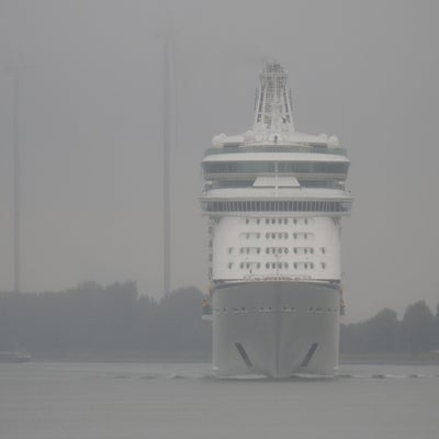 DSCN9295.jpg