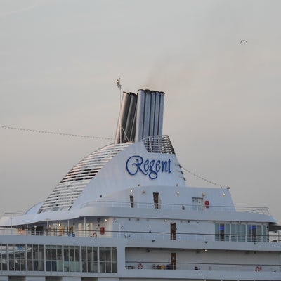 DSCN8313.jpg