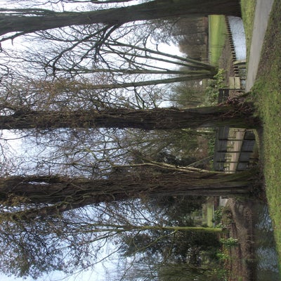 DSCF4815.jpg