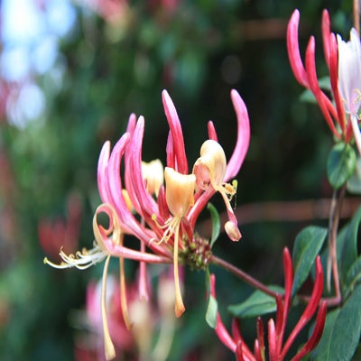 IMG_0366.jpg