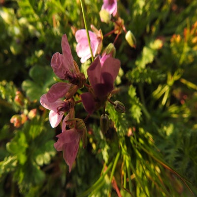DSCN7718.jpg