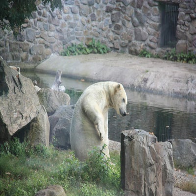 IMG_1550.jpg