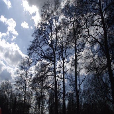 DSCF5221.jpg
