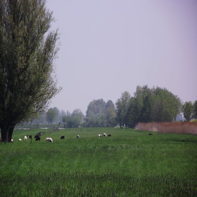 036-2.jpg