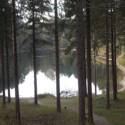 DSCN2510.jpg