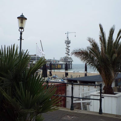 DSCF2411.jpg