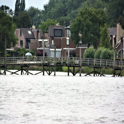 IMG_9098JPG.jpg
