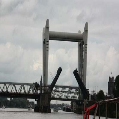 IMG_9090JPG.jpg