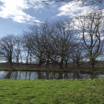 DSCF5234.jpg