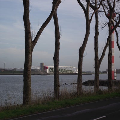 DSCF8954.jpg