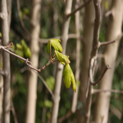 IMG_8801.jpg