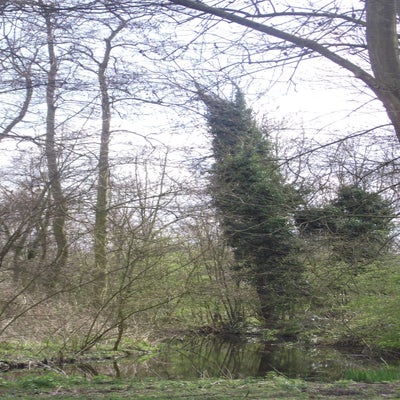 DSCF5225.jpg