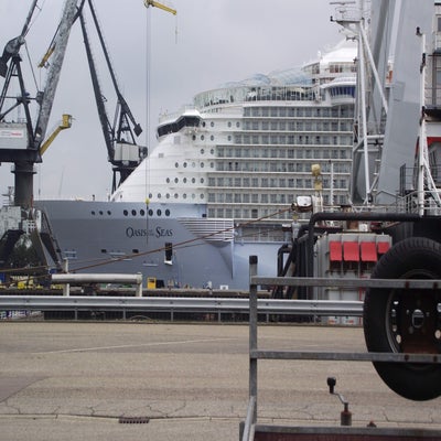 OasisOfTheSeas015.jpg