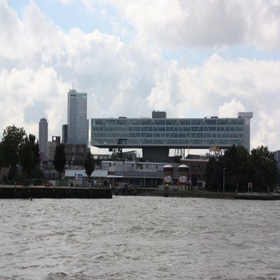 IMG_9148JPG.jpg