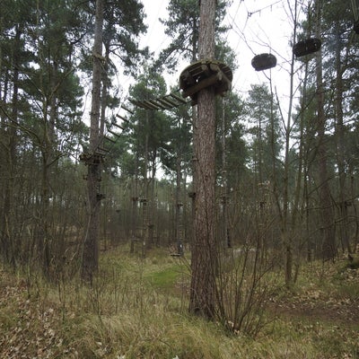 DSCN9862.jpg