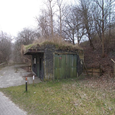 DSCN1352.jpg