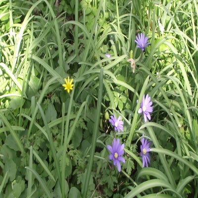 DSCF5191.jpg