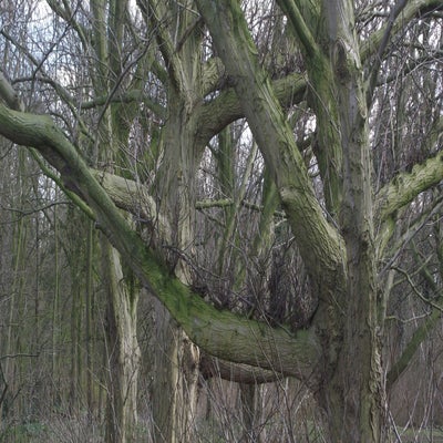 DSCF5142.jpg