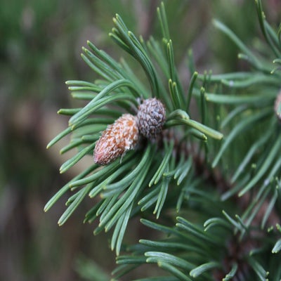 IMG_4686.jpg