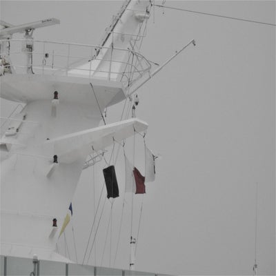 DSCN9313.jpg