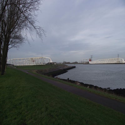 DSCF8956.jpg