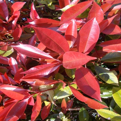 DSCN3102.jpg