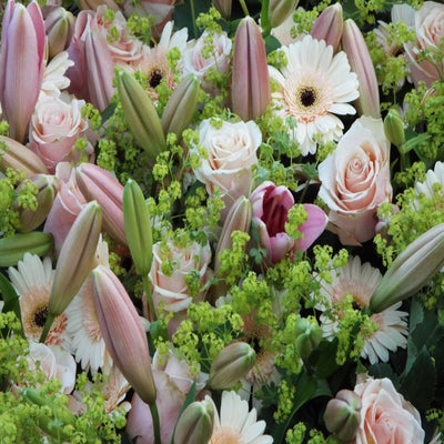 DSCF2635.jpg