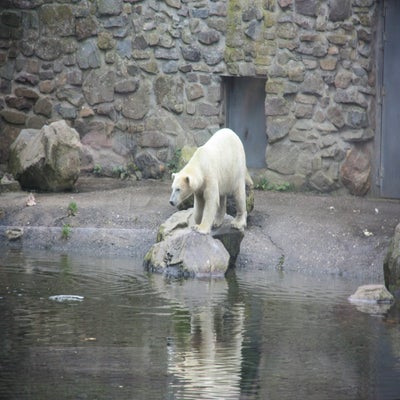 IMG_1557.jpg