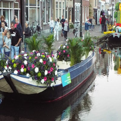 DSCF2678.jpg