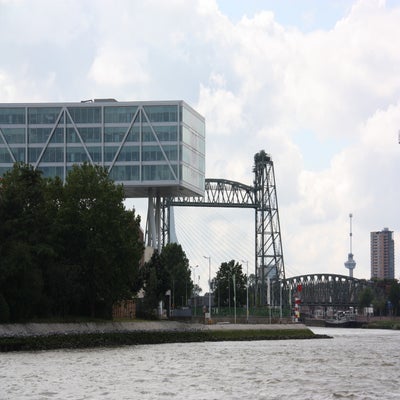 IMG_9152JPG.jpg