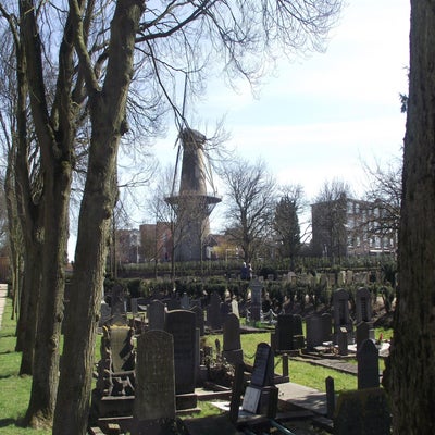 DSCF5032.jpg