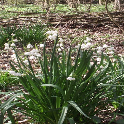 DSCF5192.jpg