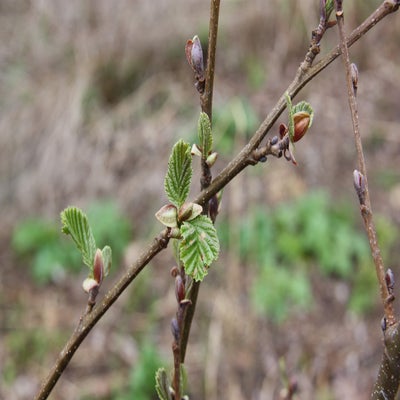 IMG_9007-1.jpg