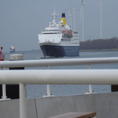 DSCN9721.jpg
