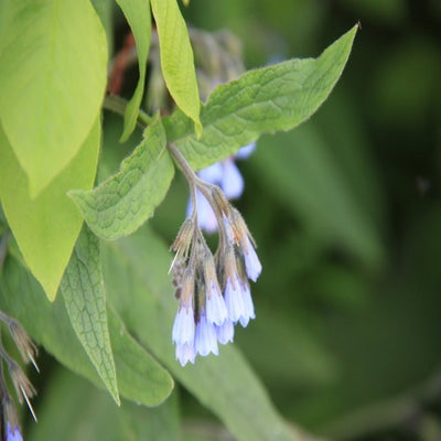 IMG_9321.jpg