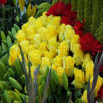 DSCF2629.jpg