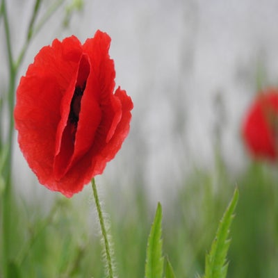 DSCN0120.jpg