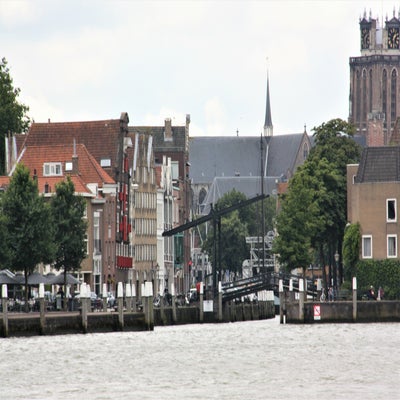 IMG_9107JPG.jpg
