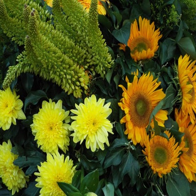 DSCF2657.jpg