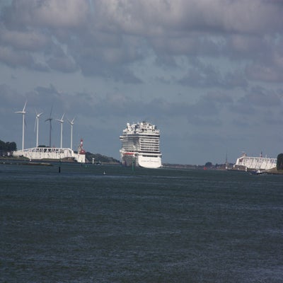 IMG_8445.jpg