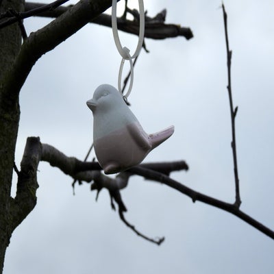 DSCN4114.jpg