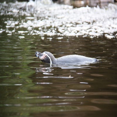IMG_1562.jpg