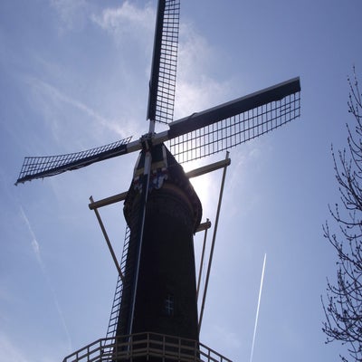 DSCF5040.jpg