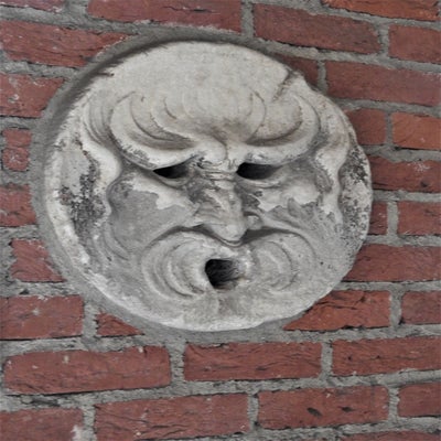 DSCN9526.jpg