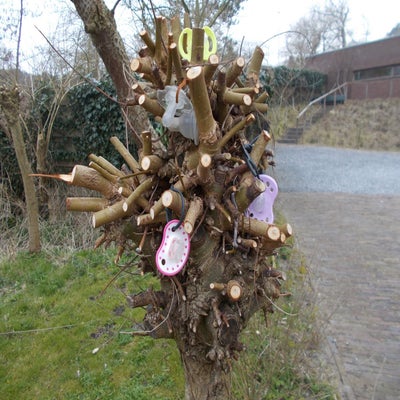 DSCN1353.jpg